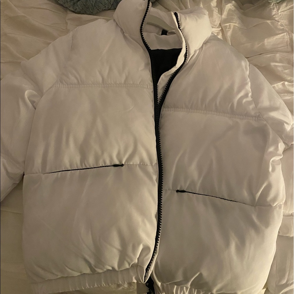White puffer